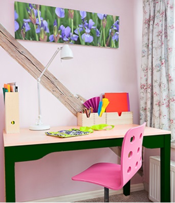 camere verzi pentru scolari 