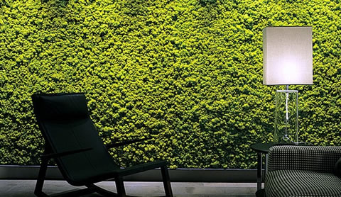 tendinte decoratiuni 2016